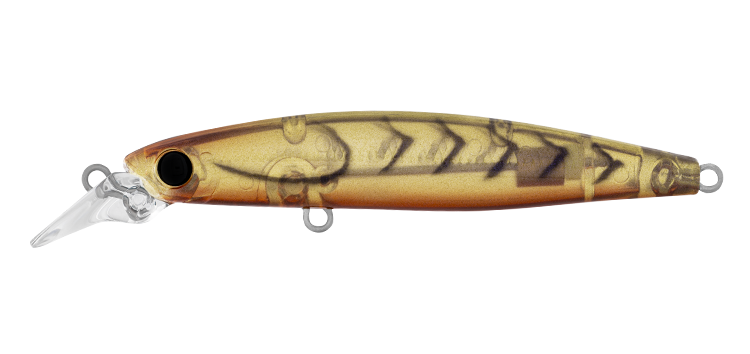 Daiwa Infeet Sazanami 60SP Hard Body Lure