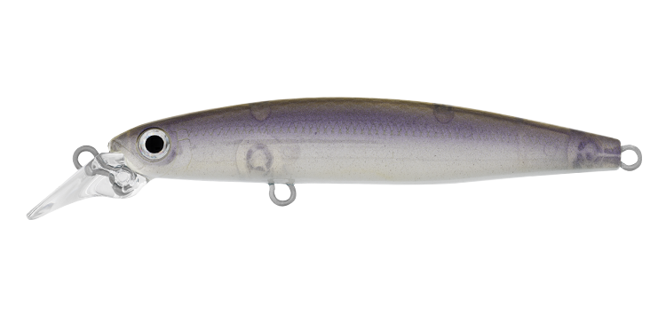 Daiwa Infeet Sazanami 60SP Hard Body Lure