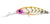 Daiwa Infeet Spike Hard Body Lure 53SP