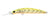 Daiwa Pro Double Clutch IZM Hard Body Lure 115SP