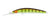 Daiwa Pro Double Clutch IZM Hard Body Lure 115SP