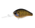 Daiwa Steez RPM Crank Mid 10 Hard Body Lure