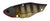 Daiwa Steeze Metal Vibe Lure 3.5g
