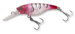 Ecogear SX 40F Hard Body Lure