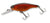 Ecogear SX 60F Hard Body Lure