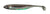 Fish Arrow Flash Jerk Shad 3 Inch Soft Plastic Lure