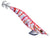 Fish Inc Egilicious Squid Jig 3.5