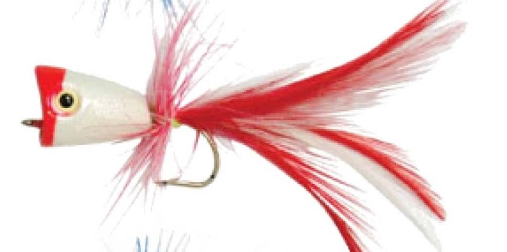 Gillies Surf Popper Value Pack