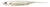 Fish Arrow Fash J SW Soft Plastic Lure