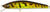Atomic Hardz Jerk Minnow 65mm Hard Body Lure
