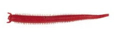 Berkley Gulp Sandworm Worm Soft Plastic Lure 4 Inch