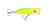 Halco Roosta Surface Popper Lure - 45mm