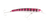 Halco Laser Pro 160XDD Hard Body Trolling Lure