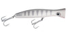 Halco Roosta Surface Popper Lure - 195mm