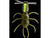 Imakatsu Fujin Spider Garage Craft Surface Spider Lure