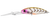 Daiwa Infeet Spike 53mm EXDR Crankbait Hard Body Lure