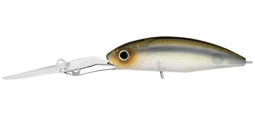 Daiwa Infeet Spike 53mm EXDR Crankbait Hard Body Lure