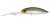 Daiwa Infeet Spike 53mm EXDR Crankbait Hard Body Lure
