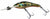 Killalure Flatz Rat 2 Hard Body Lure +10