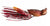 Live Target Crawfish Hollow Body Soft Plastic Lure