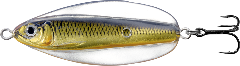 Live Target Erratic Shiner Hard Body Lure