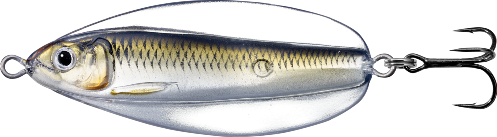 Live Target Erratic Shiner Hard Body Lure