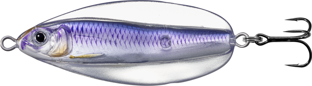 Live Target Erratic Shiner Hard Body Lure