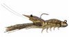 Live Target Fleeing Shrimp 2.75 inch Soft Plastic Lure