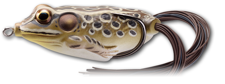 Live Target Frog Hollow Body Topwater Surface Walker Lure