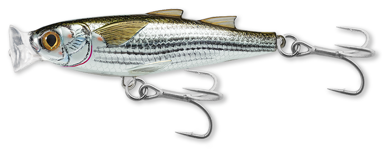 Live Target Mullet Popper Surface Popper Lure