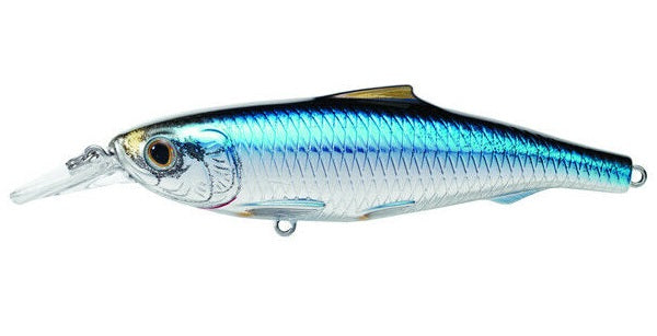 Live Target Spanish Sardine Hard Body Trolling Lure