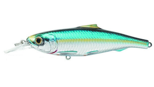Live Target Spanish Sardine Hard Body Trolling Lure