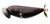 Lucky Craft Sammy Bug Surface Walker Lure