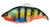 Megabass Vatalion 190SF Swimbait Lure