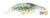 Mimix Jelly Prawn 40SP Hard Body Lure