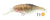 Mimix Jelly Prawn 40SP Hard Body Lure