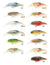 Mimix Jelly Prawn 40SP Hard Body Lure