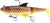 Molix Shad 185mm Soft Plastic Swimbait Lure