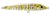 Nomad Riptide 58mm Slow Sinking Stickbait Lure
