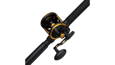 Penn Squall 30LD Reel and 661LM Rod Overhead Combo