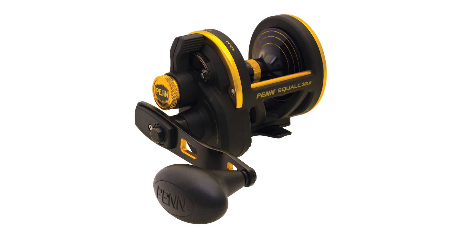 Penn Squall 30LD Reel and 661LM Rod Overhead Combo