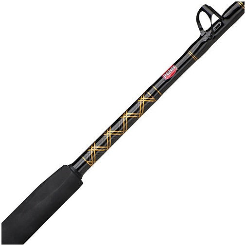 Penn Squall 30LD Reel and 661LM Rod Overhead Combo