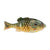 Berkley Powerbait HD Gilly Soft Plastic Lure