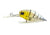 Pro Lure Prolure D36 Deep Crank Hard Body Lure