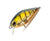 Pro Lure Prolure S36 Shallow Crank Hard Body Lure