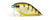 Pro Lure Prolure XS36 Extra Shallow Crank Hard Body Lure