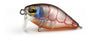 Pro Lure Prolure XS36 Extra Shallow Crank Hard Body Lure