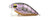 Pro Lure Prolure XS36 Extra Shallow Crank Hard Body Lure