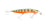 RMG Scorpion 125XDD Hard Body Lure - Mega Clearance