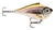 Rapala Rippin Rap Lipless TN Crankbait Hard Body Lure 7
